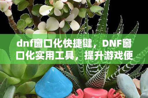 dnf窗口化快捷键，DNF窗口化实用工具，提升游戏便捷性的神器