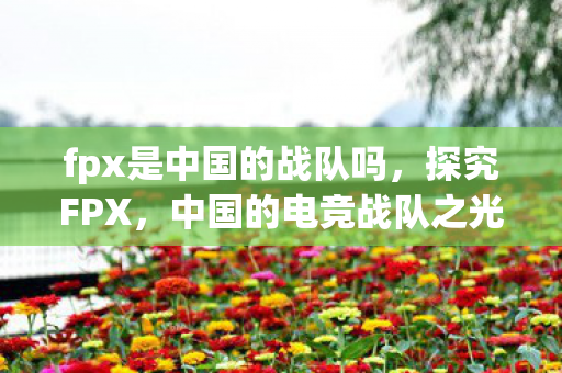 fpx是中国的战队吗，探究FPX，中国的电竞战队之光