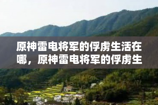 原神雷电将军的俘虏生活在哪，原神雷电将军的俘虏生活