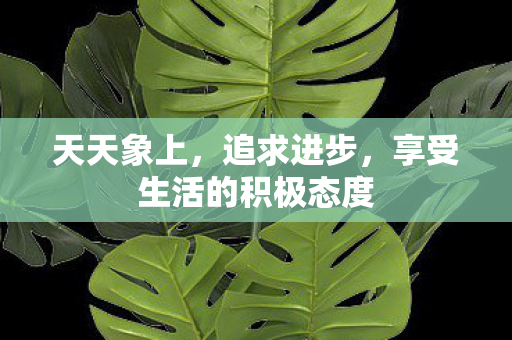 天天象上，追求进步，享受生活的积极态度