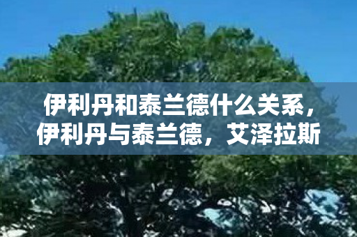 伊利丹和泰兰德什么关系，伊利丹与泰兰德，艾泽拉斯的宿命交织
