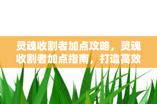 灵魂收割者加点攻略，灵魂收割者加点指南，打造高效战斗力的关键