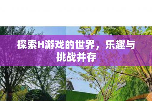 探索H游戏的世界，乐趣与挑战并存