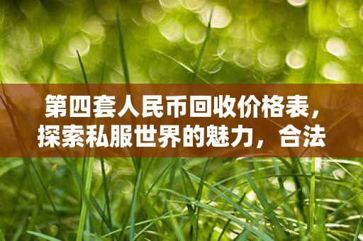 第四套人民币回收价格表，探索私服世界的魅力，合法合规下的游戏新体验