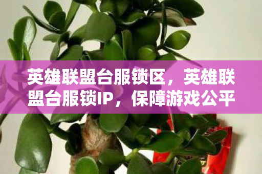 英雄联盟台服锁区，英雄联盟台服锁IP，保障游戏公平与安全的新举措