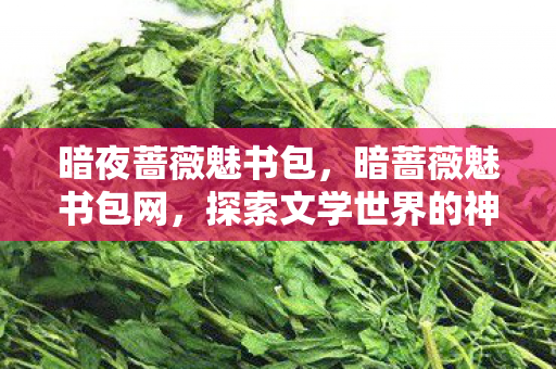 暗夜蔷薇魅书包，暗蔷薇魅书包网，探索文学世界的神秘之旅
