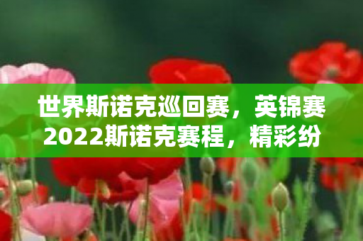 世界斯诺克巡回赛，英锦赛2022斯诺克赛程，精彩纷呈的斯诺克盛宴