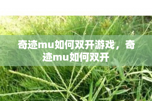 奇迹mu如何双开游戏，奇迹mu如何双开