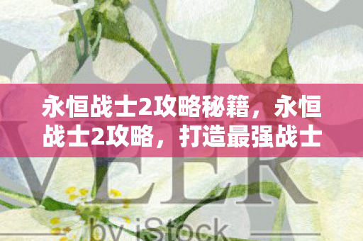 永恒战士2攻略秘籍，永恒战士2攻略，打造最强战士的实战指南