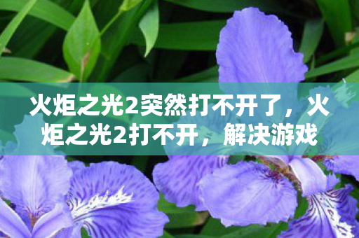 火炬之光2突然打不开了，火炬之光2打不开，解决游戏启动问题的全面指南