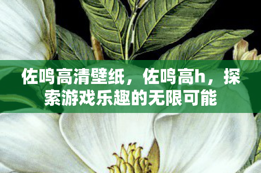 佐鸣高清壁纸,佐鸣高h,探索游戏乐趣的无限可能 佐鸣高清壁纸,佐鸣高h,探索游戏乐趣的无限可能