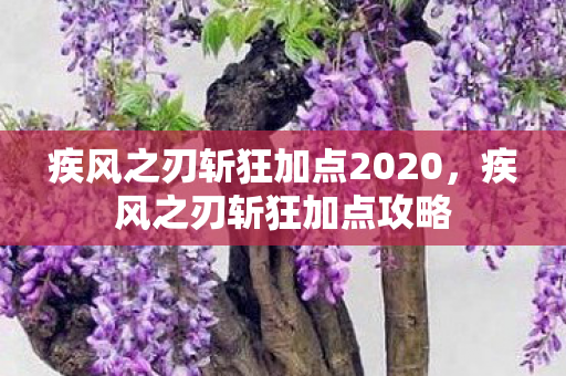 疾风之刃斩狂加点2020,疾风之刃斩狂加点攻略 疾风之刃斩狂加点2020,疾风之刃斩狂加点攻略
