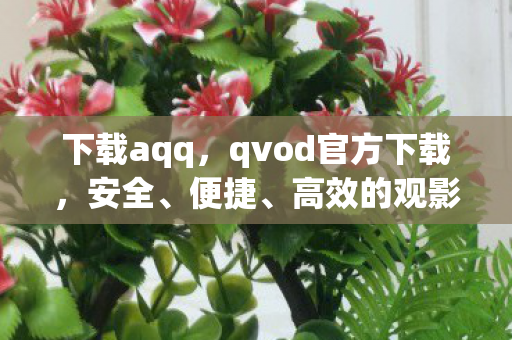 下载aqq，qvod官方下载，安全、便捷、高效的观影体验