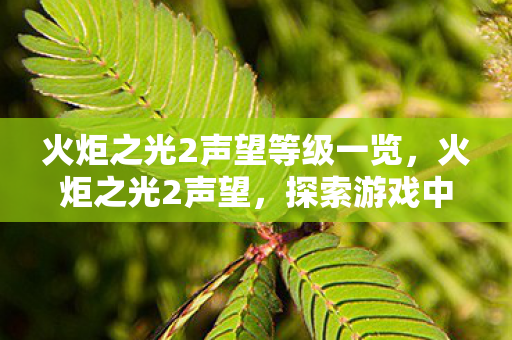 火炬之光2声望等级一览，火炬之光2声望，探索游戏中的荣耀与成就