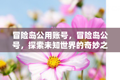 冒险岛公用账号，冒险岛公号，探索未知世界的奇妙之旅