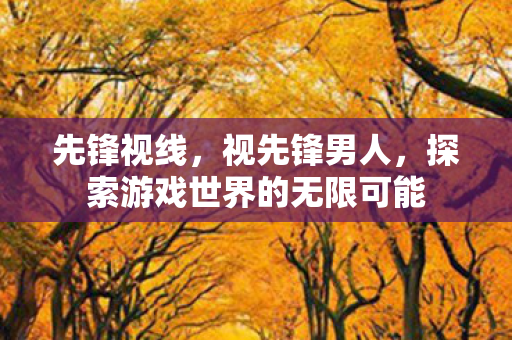先锋视线，视先锋男人，探索游戏世界的无限可能