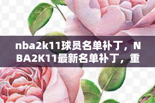 nba2k11球员名单补丁，NBA2K11最新名单补丁，重温经典，重塑传奇