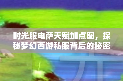 时光服电萨天赋加点图，探秘梦幻西游私服背后的秘密，为何玩家趋之若鹜？