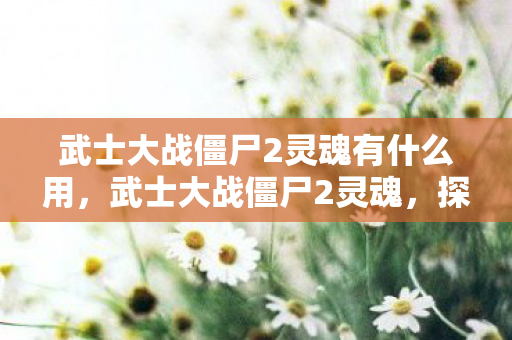 武士大战僵尸2灵魂有什么用,武士大战僵尸2灵魂,探索未知世界的冒险之旅 武士大战僵尸2灵魂有什么用,武士大战僵尸2灵魂,探索未知世界的冒险之旅