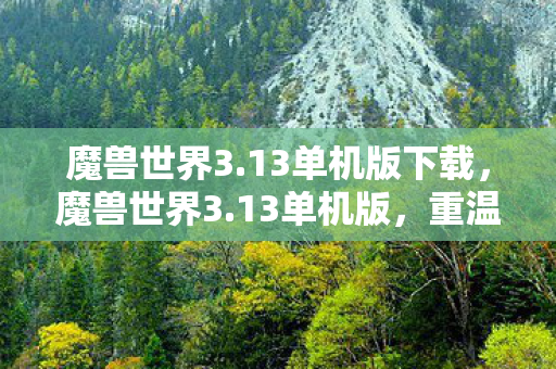 魔兽世界3.13单机版下载，魔兽世界3.13单机版，重温经典，自由探索的奇幻之旅
