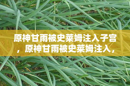 原神甘雨被史莱姆注入子宫，原神甘雨被史莱姆注入，一场意外的游戏内奇遇