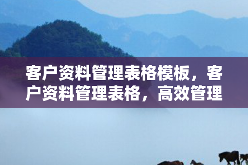 客户资料管理表格模板，客户资料管理表格，高效管理与维护客户信息的利器