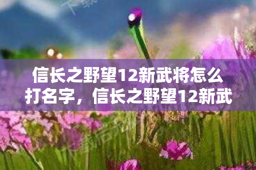 信长之野望12新武将怎么打名字，信长之野望12新武将，探索战国时代的英雄传奇