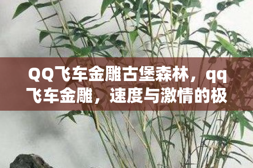 QQ飞车金雕古堡森林，qq飞车金雕，速度与激情的极致体验