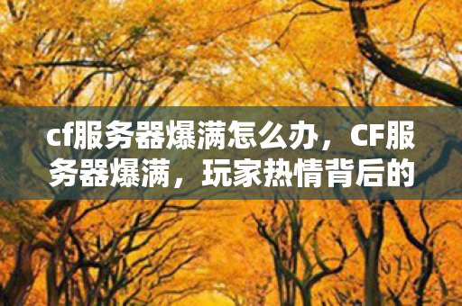 cf服务器爆满怎么办,CF服务器爆满,玩家热情背后的挑战与机遇 cf服务器爆满怎么办,CF服务器爆满,玩家热情背后的挑战与机遇