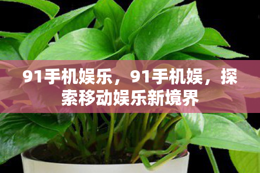 91手机娱乐，91手机娱，探索移动娱乐新境界