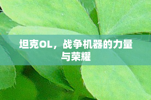 坦克OL，战争机器的力量与荣耀