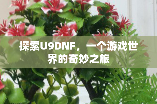 探索U9DNF，一个游戏世界的奇妙之旅