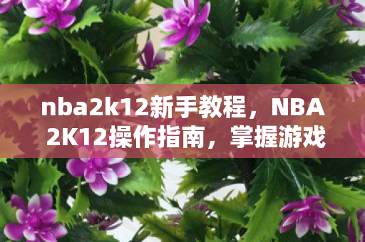 nba2k12新手教程,NBA 2K12操作指南,掌握游戏精髓 nba2k12新手教程,NBA 2K12操作指南,掌握游戏精髓