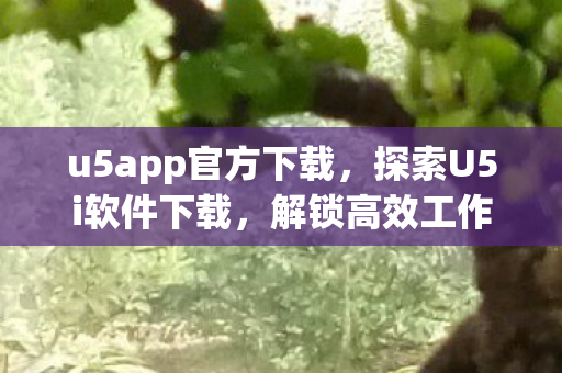 u5app官方下载，探索U5i软件下载，解锁高效工作与生活的新工具