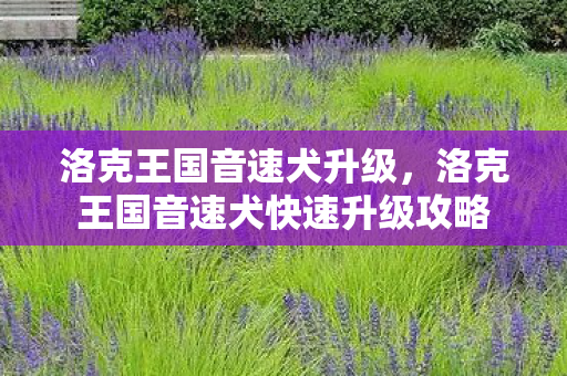 洛克王国音速犬升级，洛克王国音速犬快速升级攻略