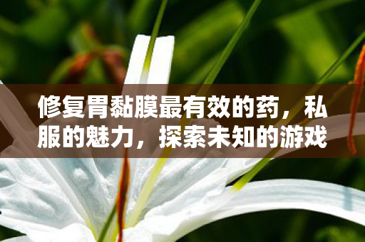 修复胃黏膜最有效的药，私服的魅力，探索未知的游戏世界与社交体验