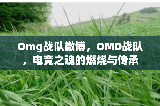 Omg战队微博，OMD战队，电竞之魂的燃烧与传承
