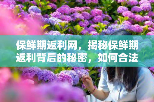 保鲜期返利网，揭秘保鲜期返利背后的秘密，如何合法获取高额返利？