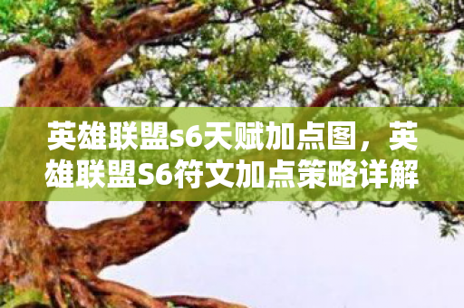 英雄联盟s6天赋加点图,英雄联盟S6符文加点策略详解 英雄联盟s6天赋加点图,英雄联盟S6符文加点策略详解