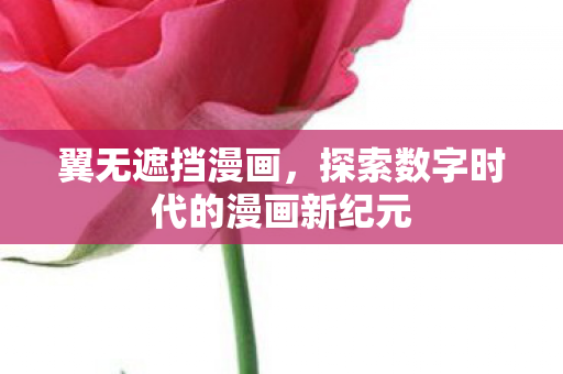 翼无遮挡漫画,探索数字时代的漫画新纪元 翼无遮挡漫画,探索数字时代的漫画新纪元