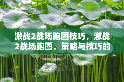 激战2战场跑图技巧,激战2战场跑图,策略与技巧的深度解析 激战2战场跑图技巧,激战2战场跑图,策略与技巧的深度解析