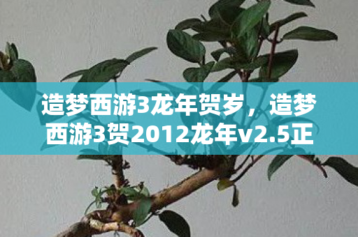 造梦西游3龙年贺岁,造梦西游3贺2012龙年v2.5正式版下载体验指南 造梦西游3龙年贺岁,造梦西游3贺2012龙年v2.5正式版下载体验指南