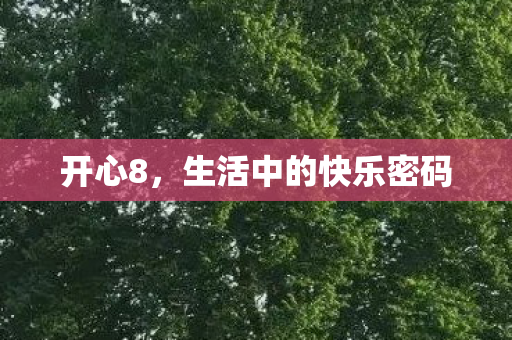 开心8，生活中的快乐密码