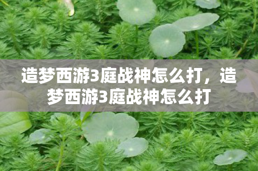 造梦西游3庭战神怎么打，造梦西游3庭战神怎么打