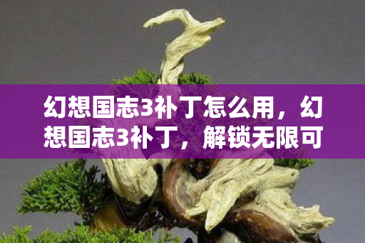 幻想国志3补丁怎么用,幻想国志3补丁,解锁无限可能的冒险之旅 幻想国志3补丁怎么用,幻想国志3补丁,解锁无限可能的冒险之旅