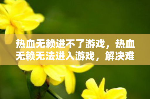热血无赖进不了游戏,热血无赖无法进入游戏,解决难题,畅享游戏之旅 热血无赖进不了游戏,热血无赖无法进入游戏,解决难题,畅享游戏之旅