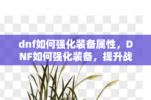 dnf如何强化装备属性，DNF如何强化装备，提升战斗力的关键步骤