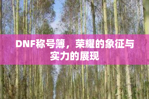 DNF称号簿，荣耀的象征与实力的展现