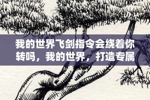 我的世界飞剑指令会绕着你转吗，我的世界，打造专属飞剑指令，畅游奇幻世界