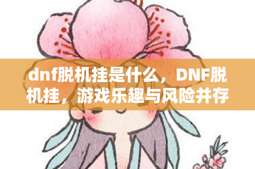 dnf脱机挂是什么，DNF脱机挂，游戏乐趣与风险并存